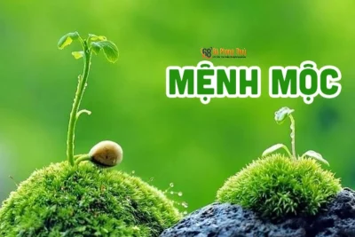 Đá Phong Thuỷ Mệnh Mộc