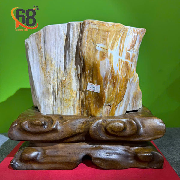 khối gỗ hóa thạch 4.38kg