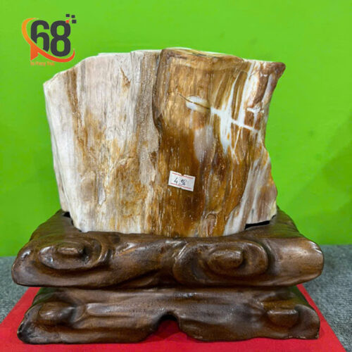 Khối Gỗ Hóa Thạch 4.38kg