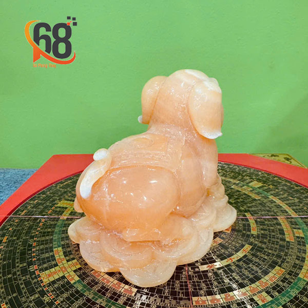 Vị trí đặt heo vàng phong thủy