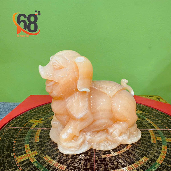 Heo vàng đá ngọc hoàng long