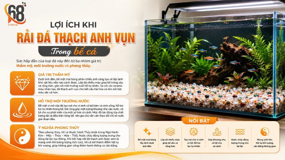 Lợi ích khi rải đá thạch anh vụn trong bể cá Lợi ích khi rải đá thạch anh vụn trong bể cá