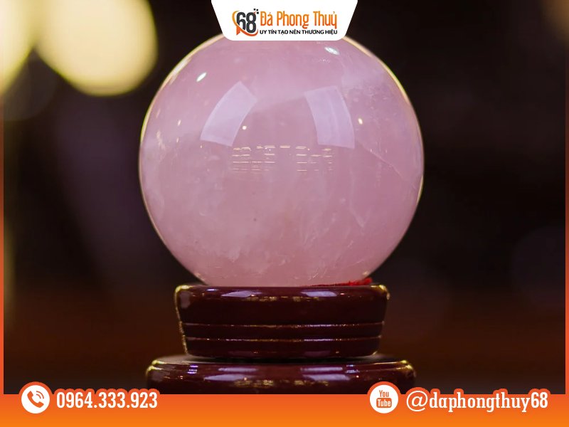 Nhận biết qua đặc điểm bên trong như thế nào? Nhận biết qua đặc điểm bên trong như thế nào?